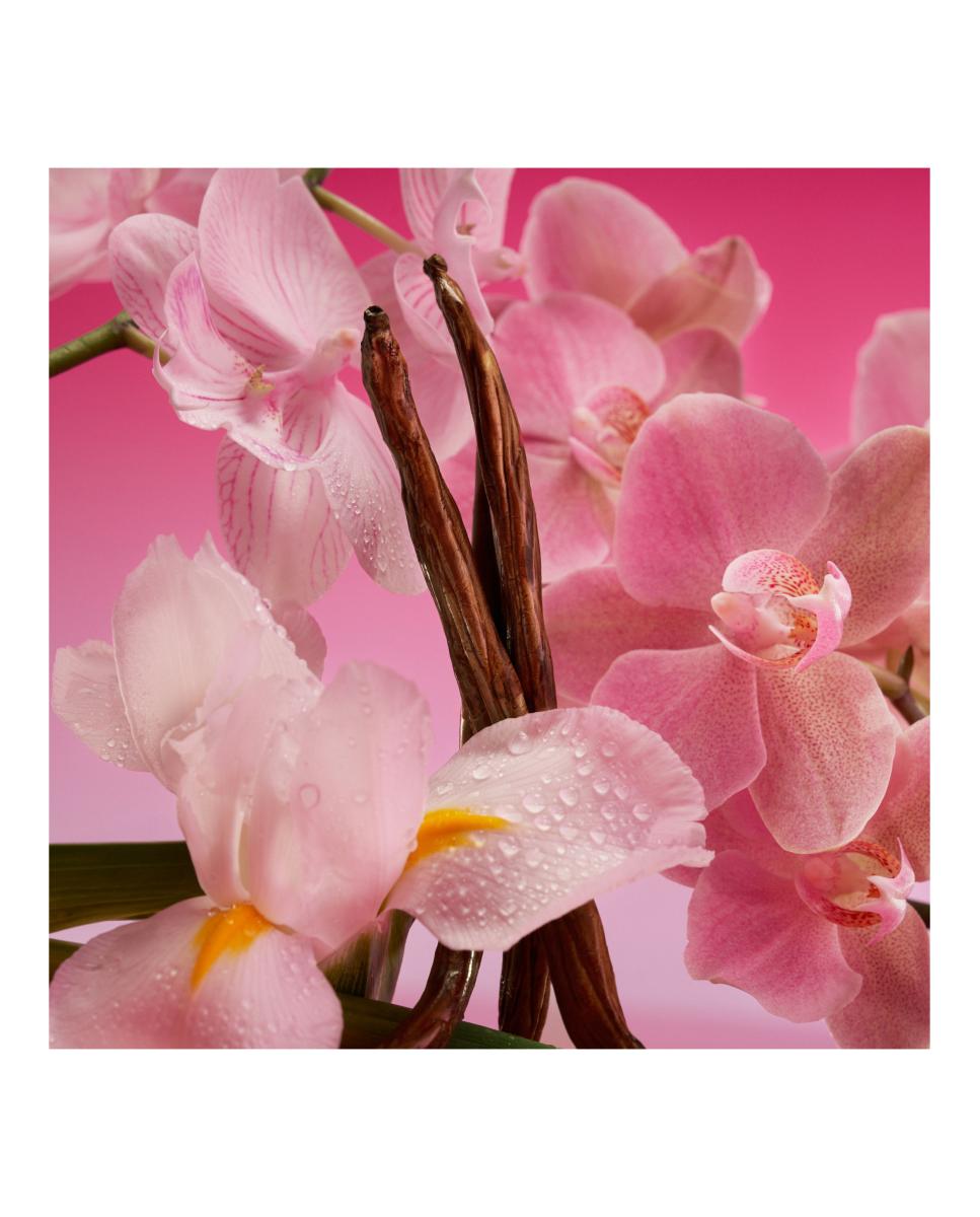 Euphoria Magnetic Elixir Eau de Parfum Intense 3