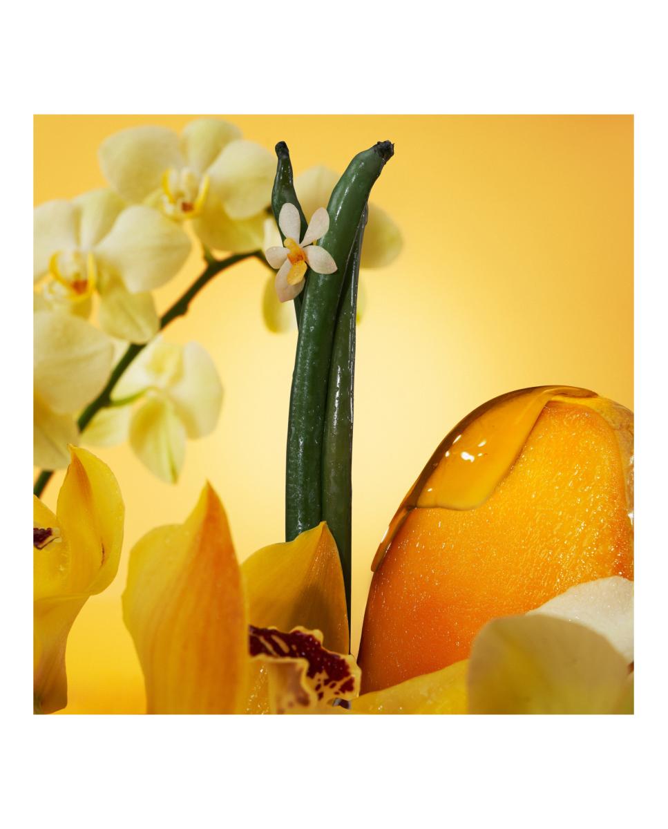 Euphoria Solar Elixir Eau de Parfum Intense 3