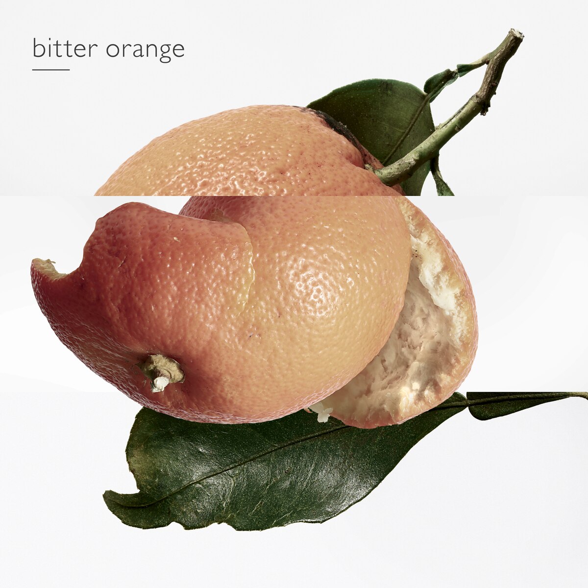 Gel Perfumado Duche e Banho Eau des Merveilles - 200 ml 6