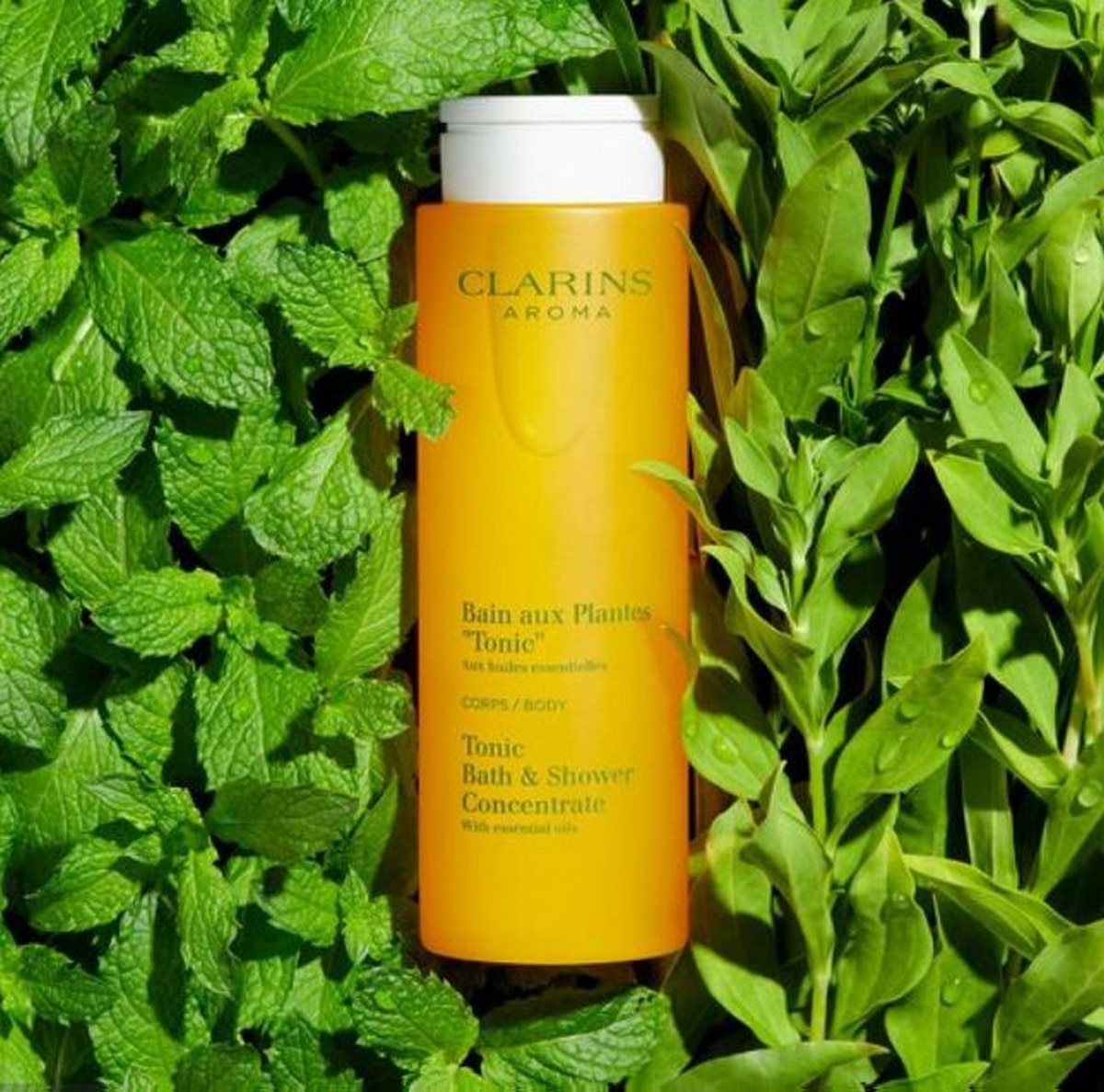 Gel Duche Bain aux Plantes "Tonic" - 200 ml 4