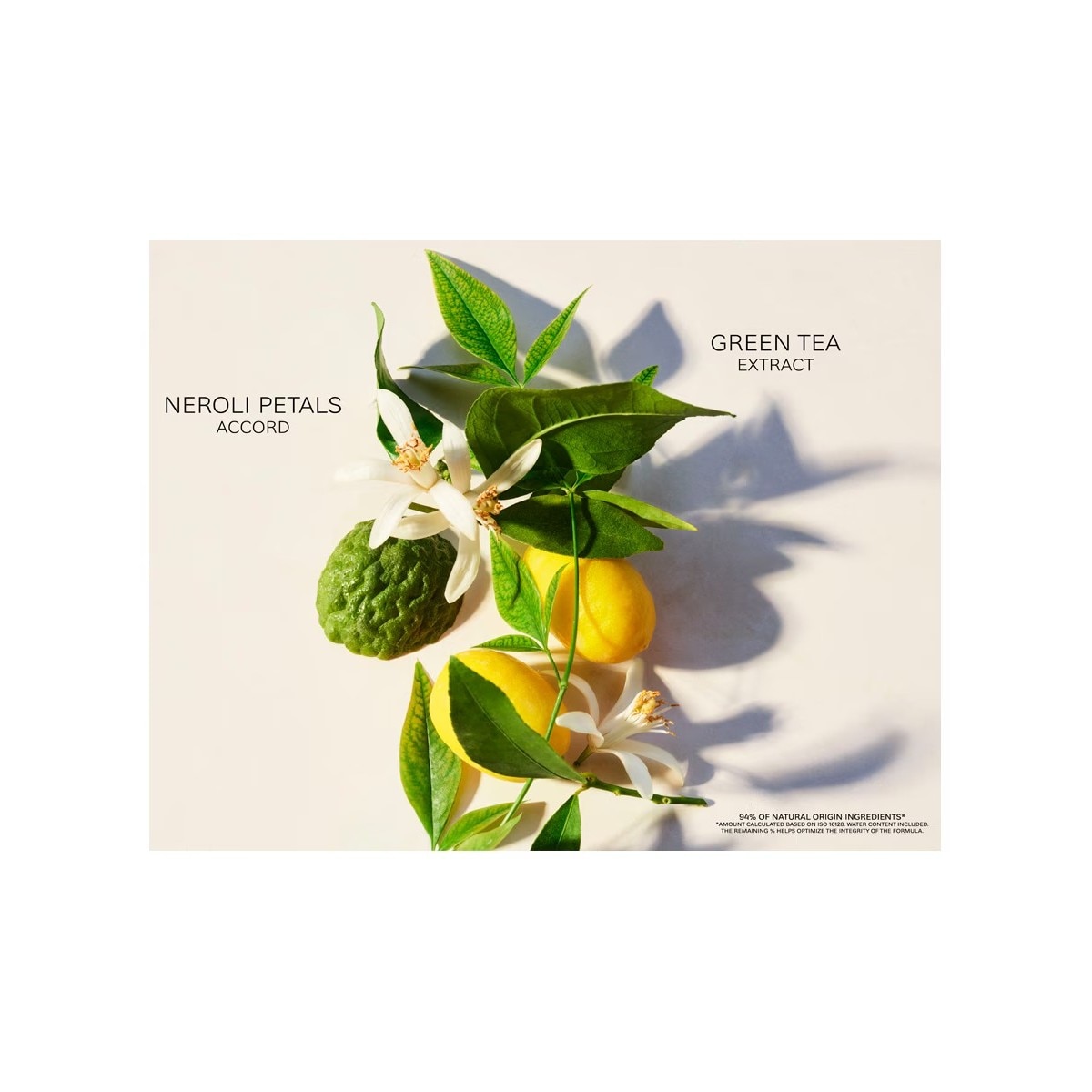 Loção corporal Thé Vert Eau Parfumée 300 ml Bvlgari 3