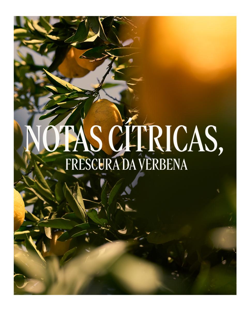 Creme de Mãos Verveine Agrumes 4