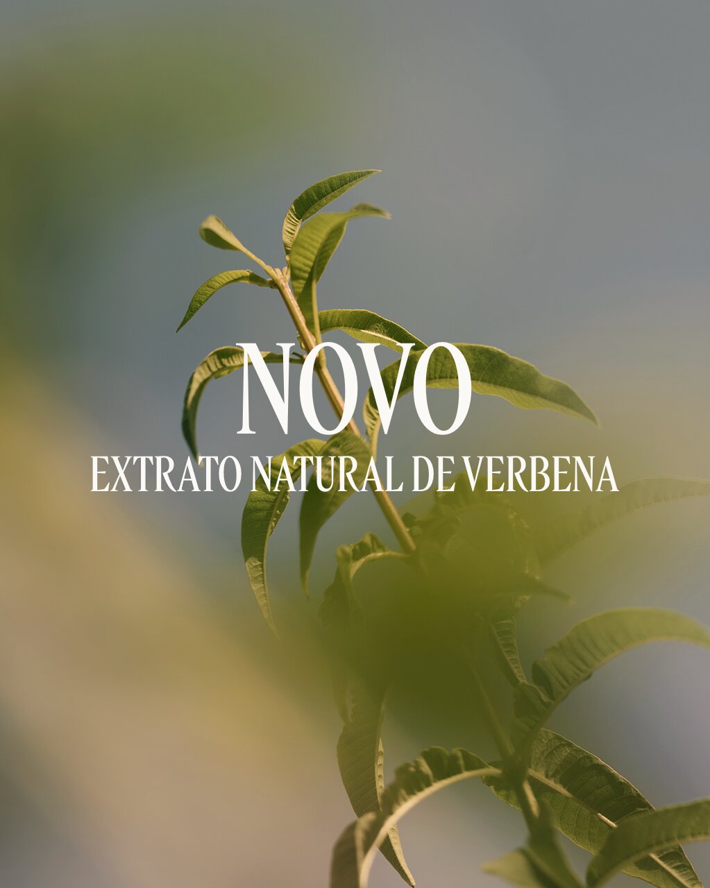 Bálsamo Desodorizante Verveine 4