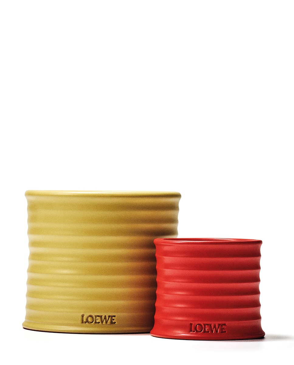 Honeysuckle Candle 4