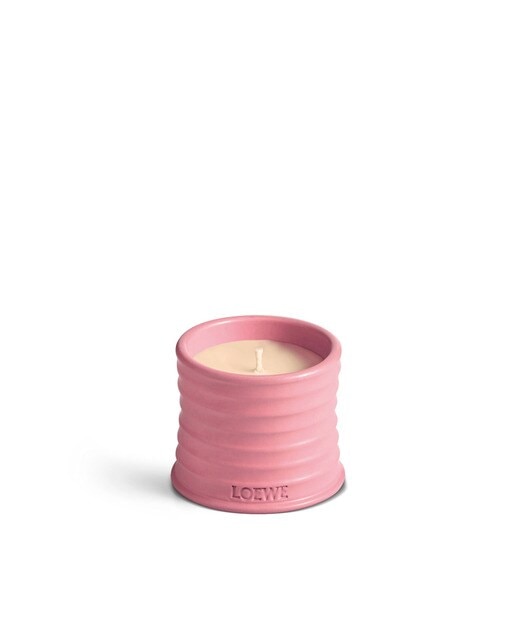 Vela Aromática Home Scents Ivy L 1