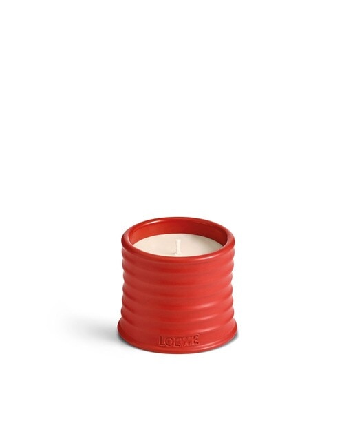 Imagem 0 de Vela Aromática Home Scents Tomato Leaves M