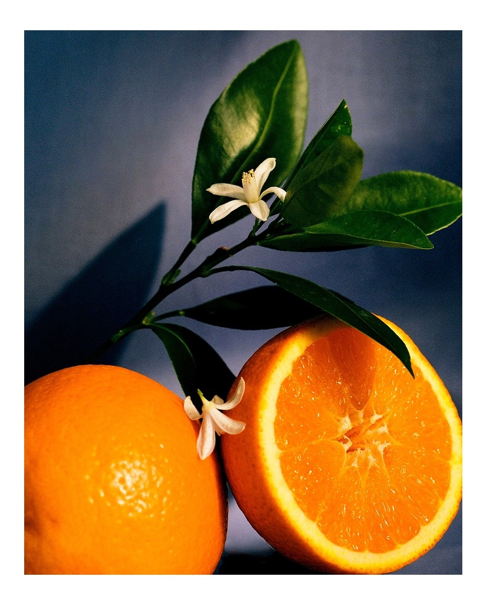 Vela Aromática Candle Orange Blossom 3