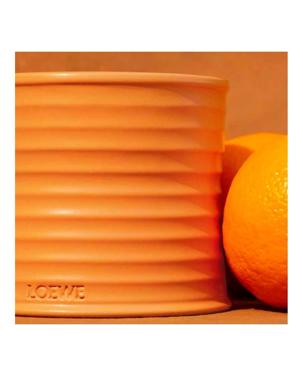 Vela Aromática Candle Orange Blossom 7