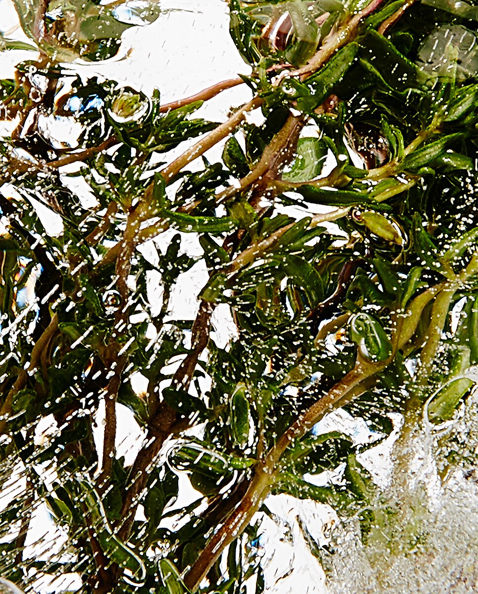 Vela Aromática de Exterior Thyme 3