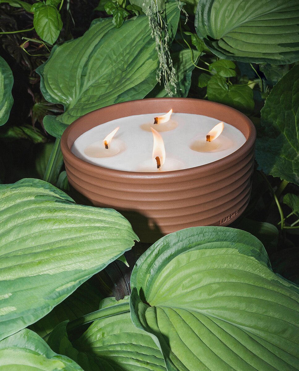 Vela Aromática de Exterior Thyme 4