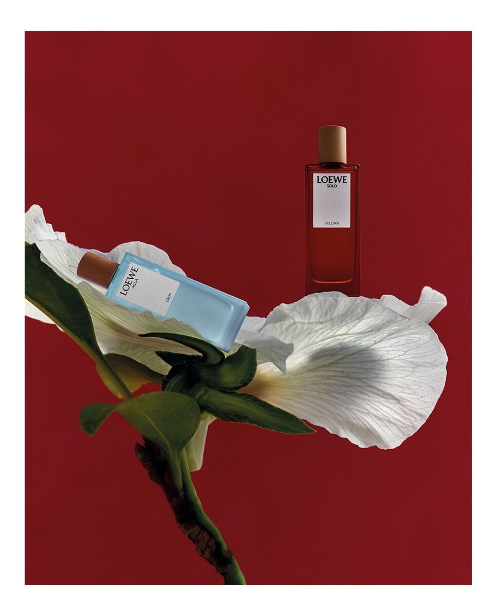 Vela Aromática Roasted Hazelnut 6