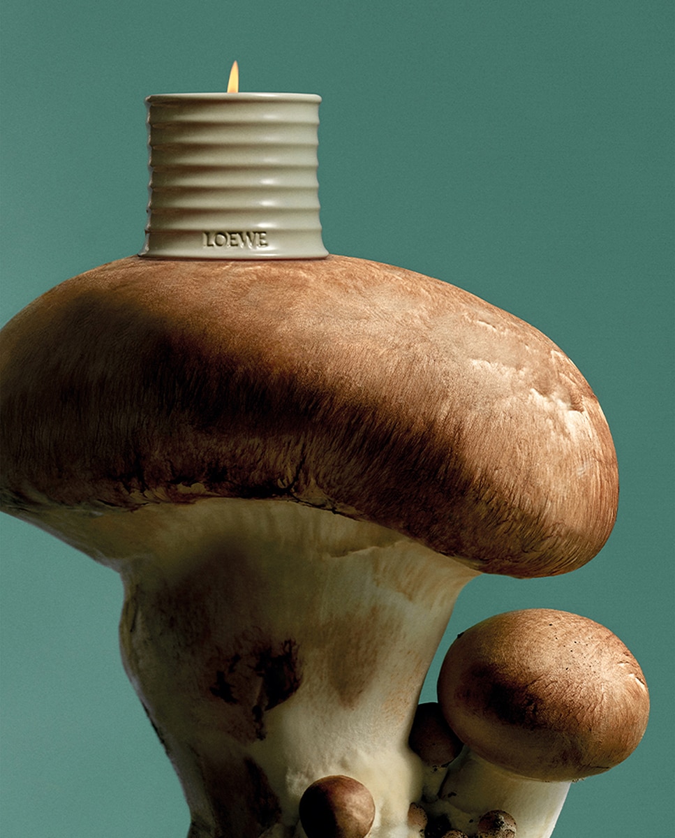 Spray Ambientador Hogar Mushroom 3