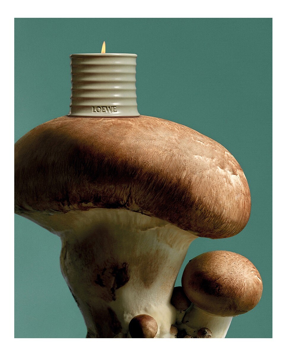 Vela Aromática Mushroom 3