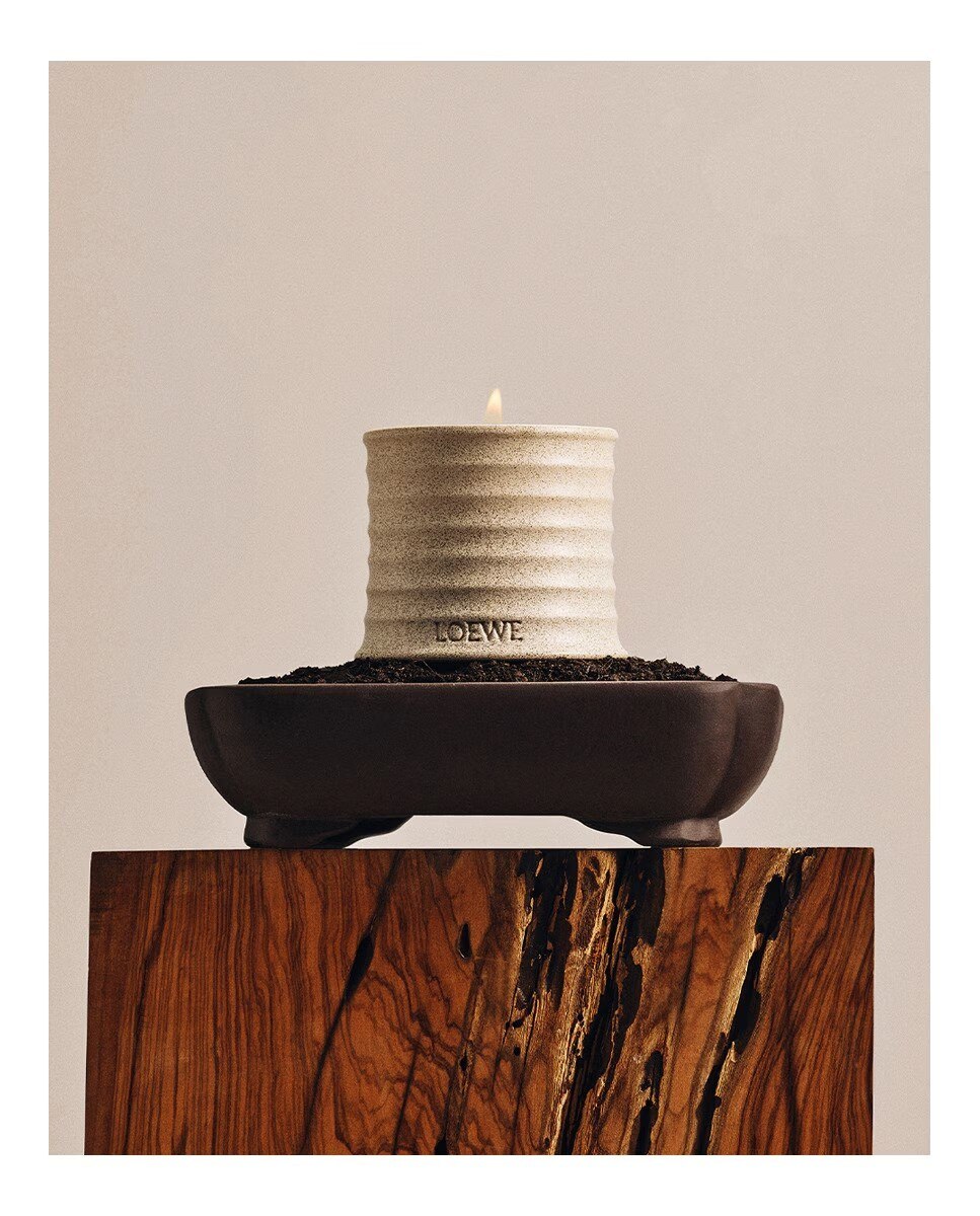 Vela Home Scents Textura Tuberose 4