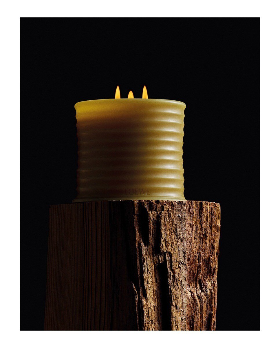 Vela Média Honey Beeswax Loewe 4