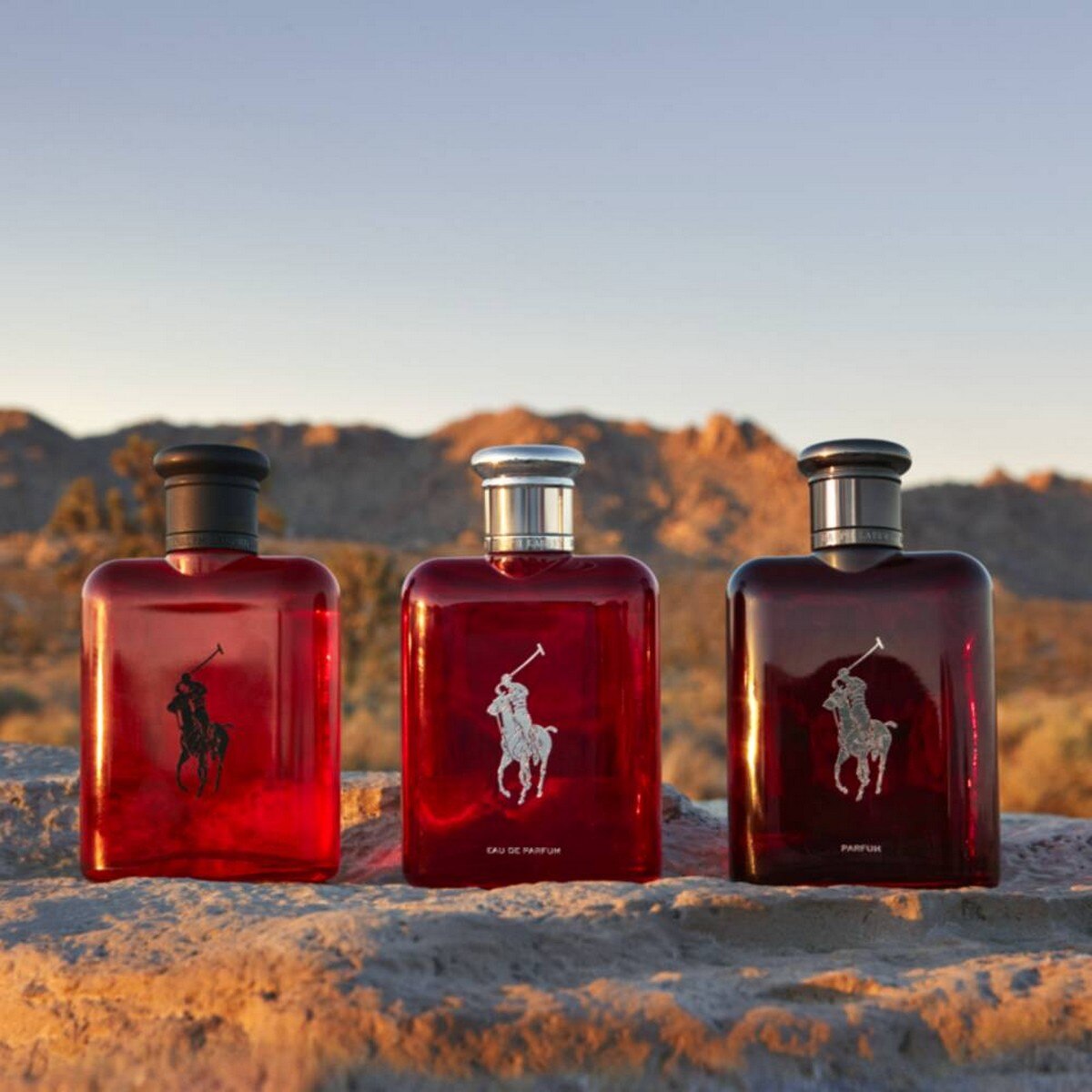 Polo Red Eau de Toilette - 40 ml 7