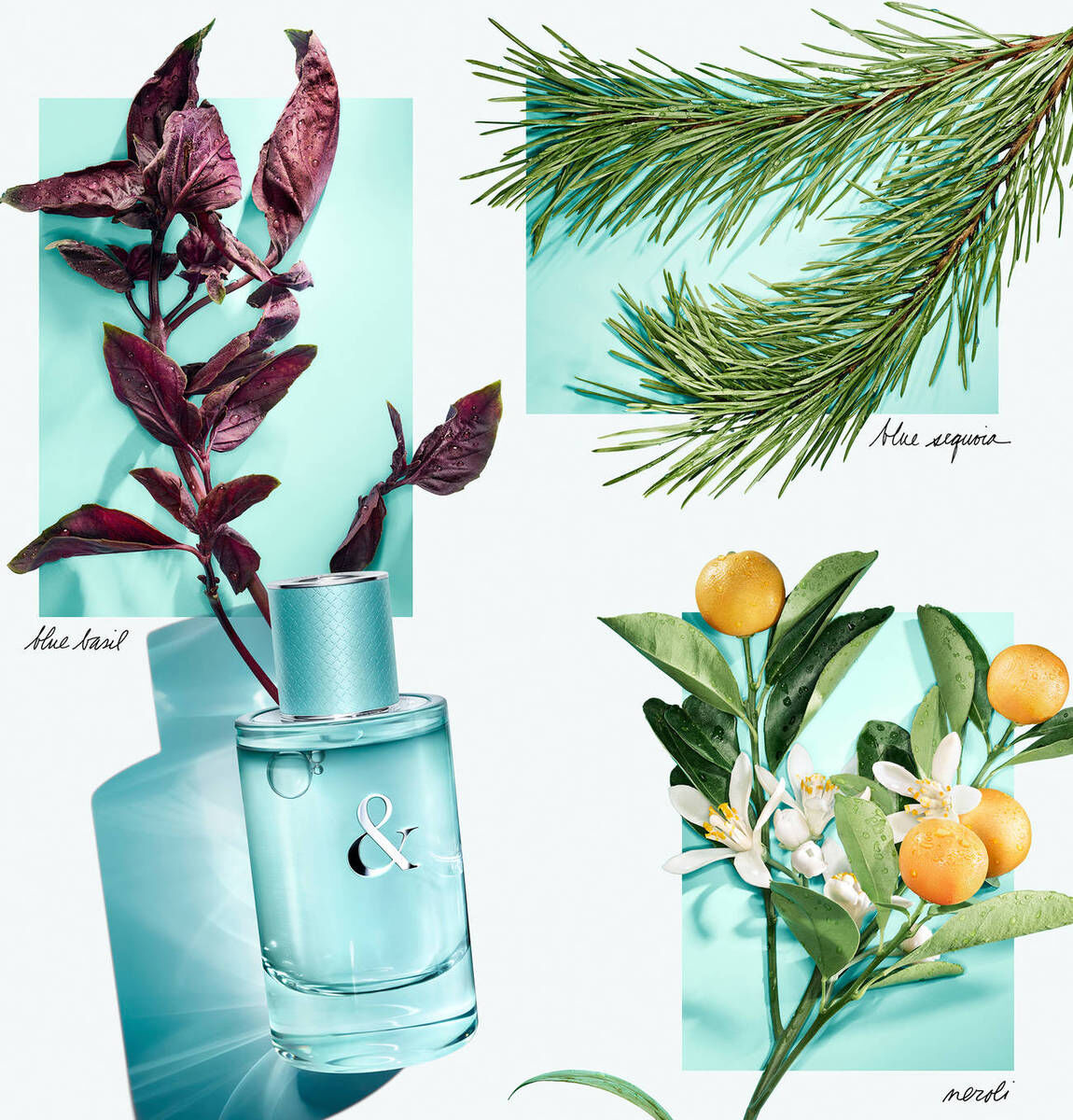 Eau de Toilette For Him Tiffany & Love 4