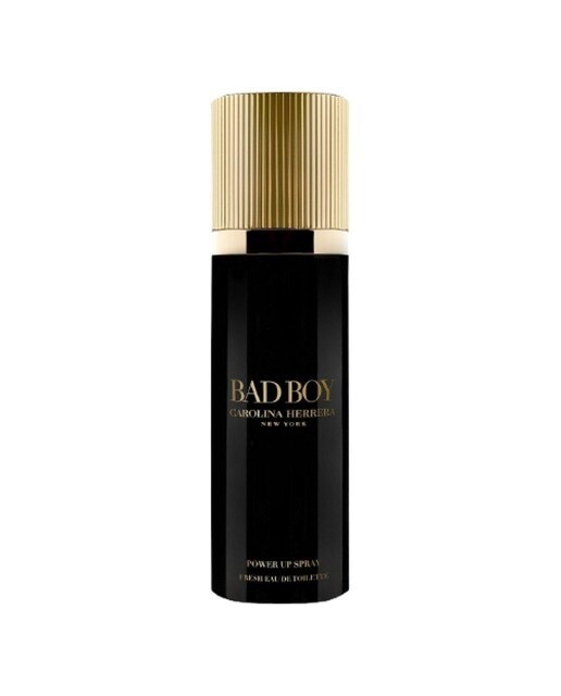 Bad Boy Power Eau de Toilette 100ml Carolina Herrera 1