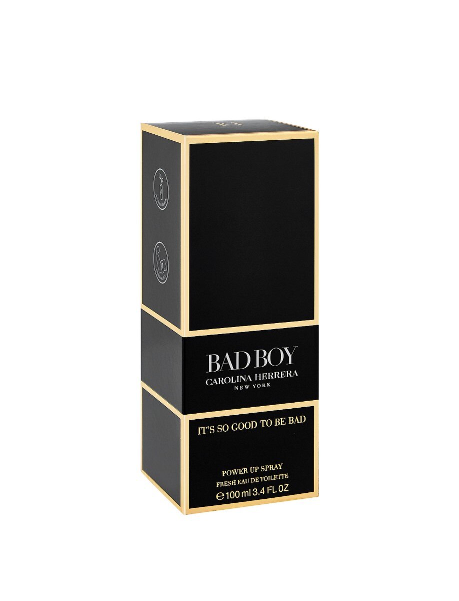 Bad Boy Power Eau de Toilette 100ml Carolina Herrera 2