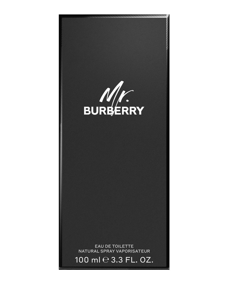 Mr Burberry Eau de Toilette 100ml Burberry 3