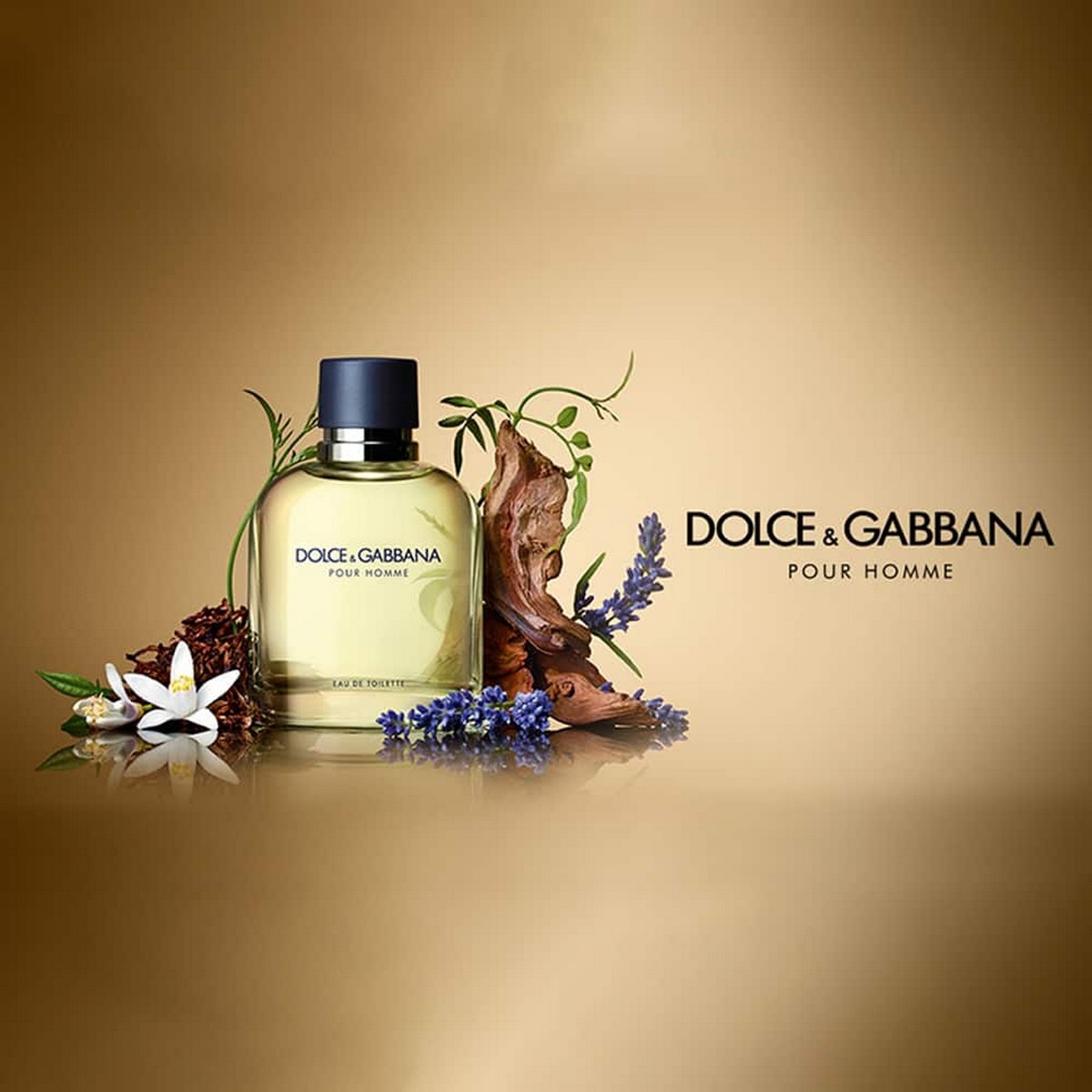 Dolce & Gabbana Pour Homme Eau de Toilette - 125 ml 3