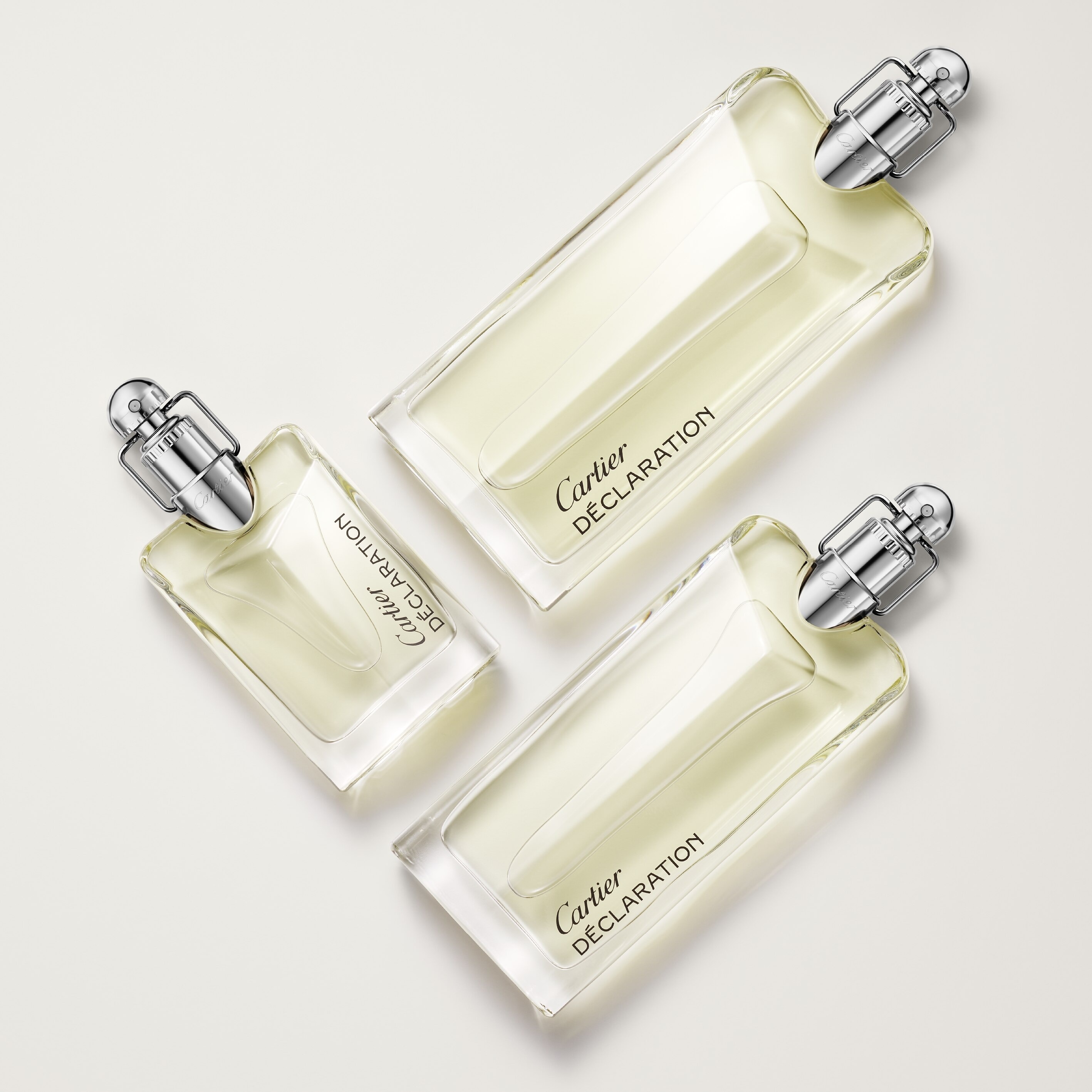 Déclaration Eau de Toilette 6