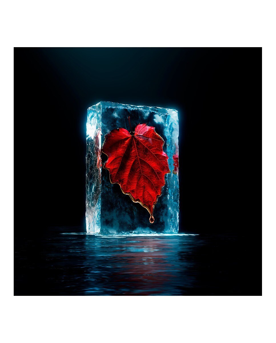 Superman Eau de Parfum 125 ml Hugo Boss 4