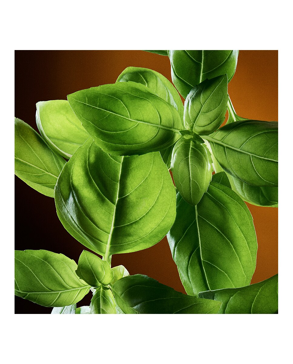 The One for Men Eau de Toilette 4