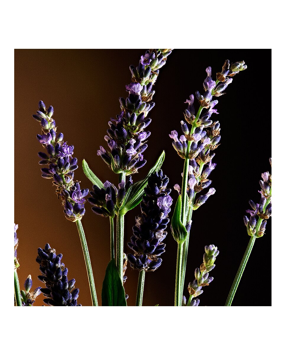 The One for Men Eau de Toilette 5