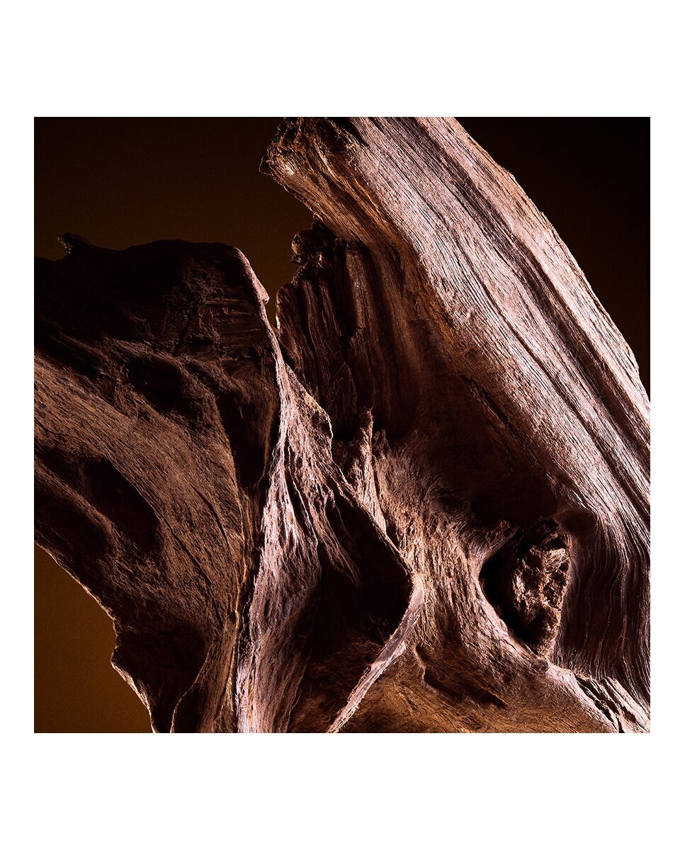 The One for Men Eau de Toilette 6