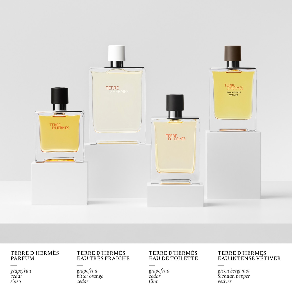 Terre d'Hermès Eau Intense Vétiver Eau de Parfum 5