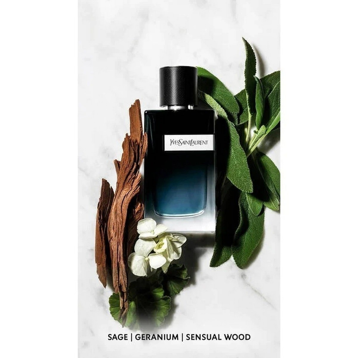 Y Men Eau de Parfum - 200 ml 3