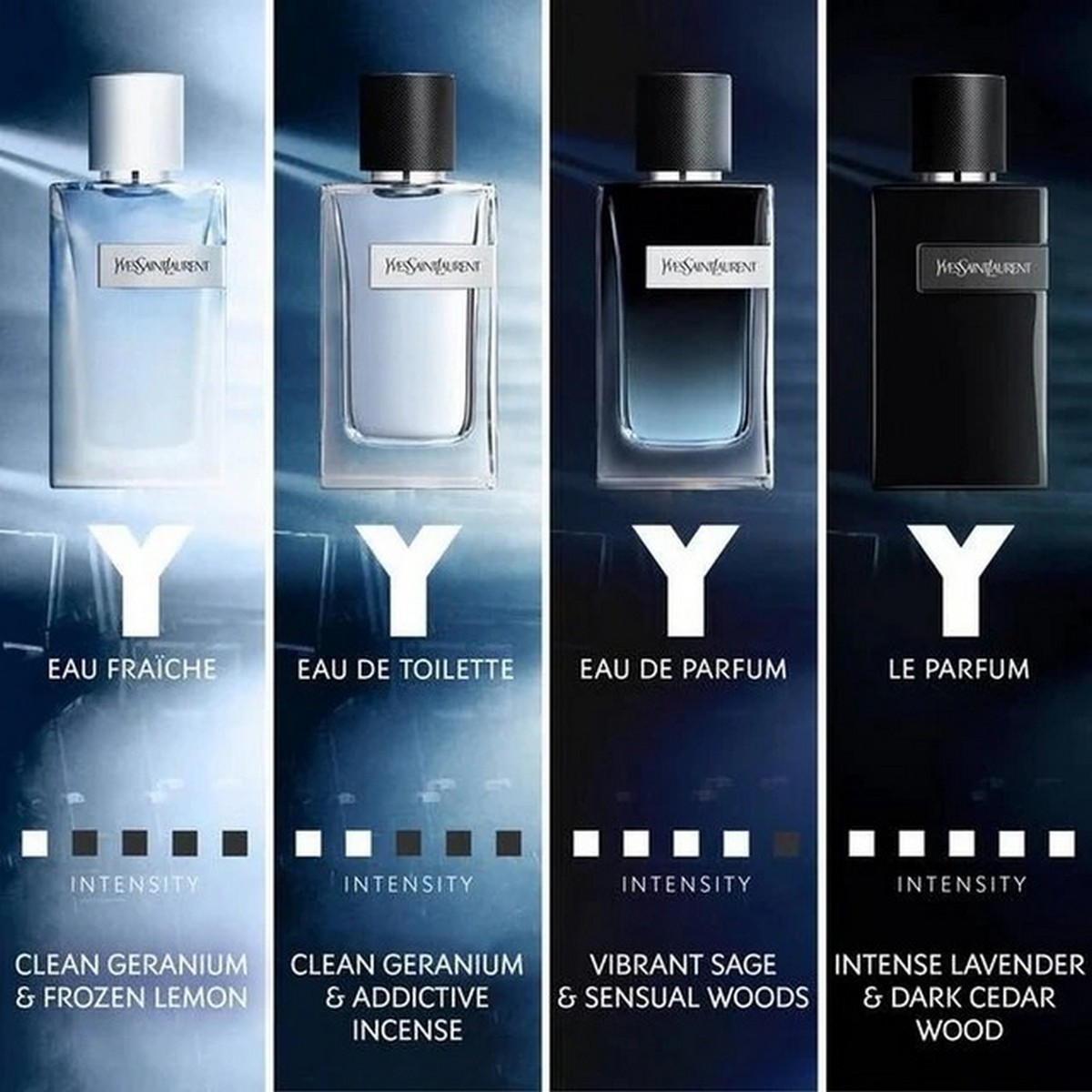 Y Men Eau de Parfum - 200 ml 7