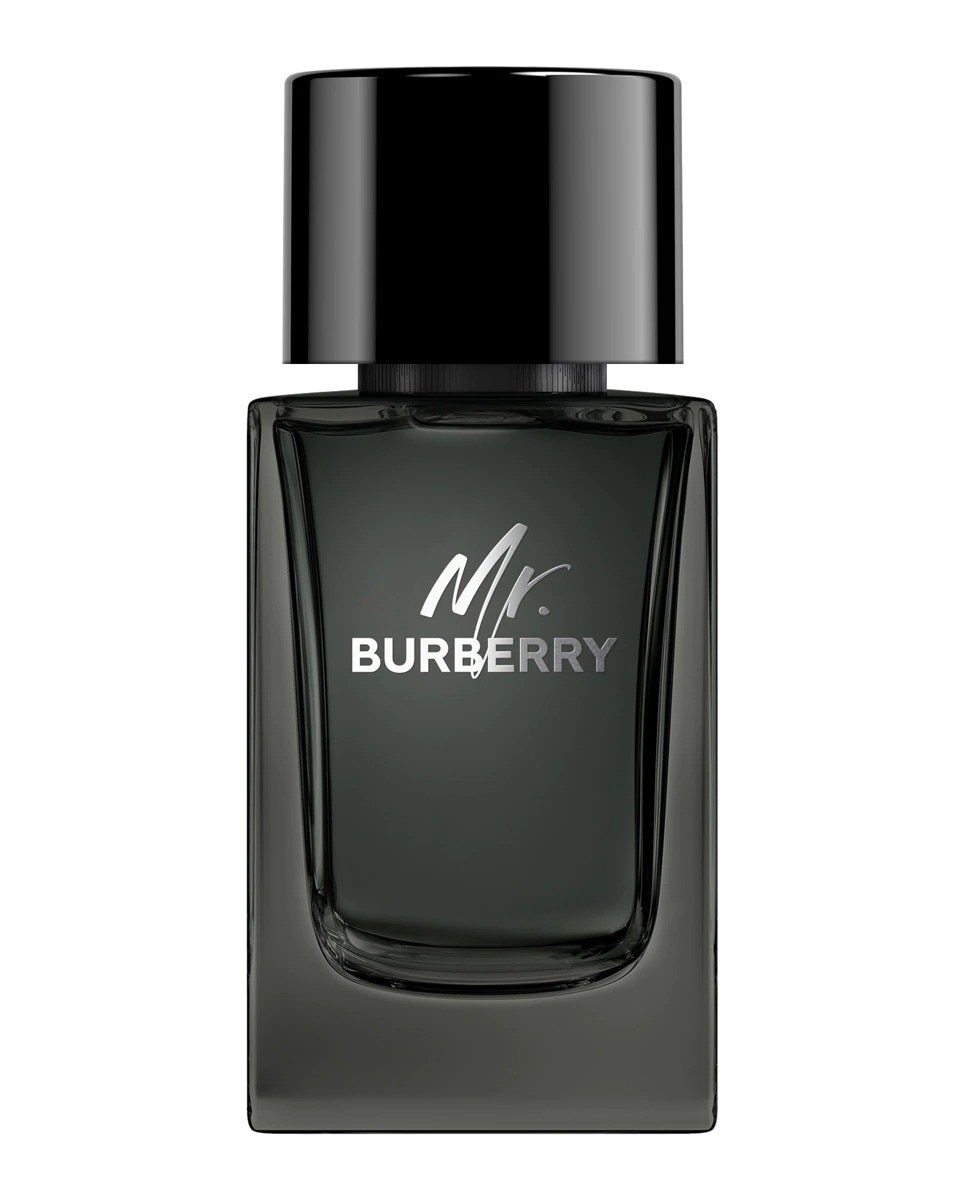 Mr. Burberry Eau de Parfum - 100 ml 1