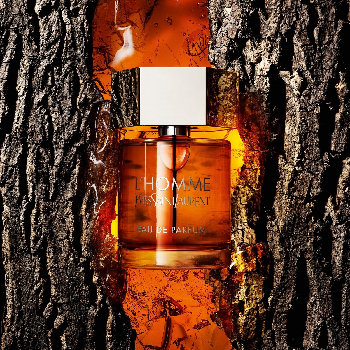 L'Homme Eau de Parfum 100ml Yves Saint Lareunt 4