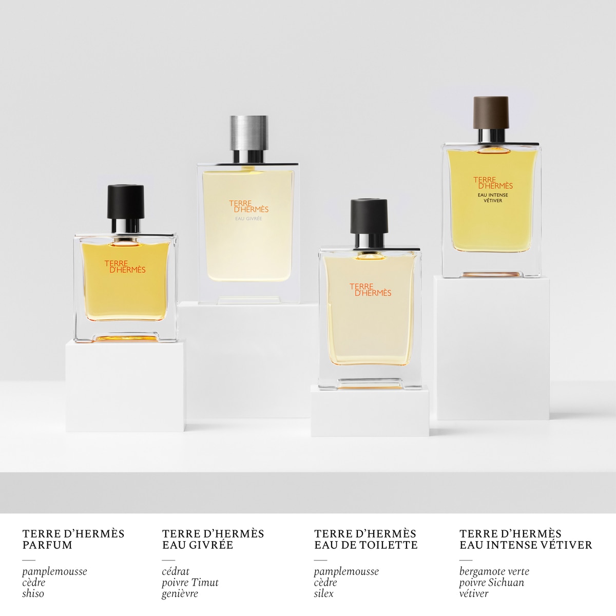 Terre d'Hermès Eau Givrée Eau de Parfum 8