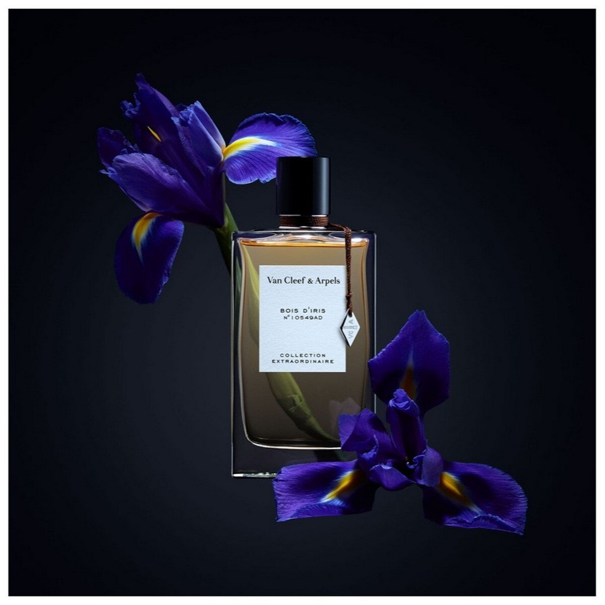 Collection Extraordinaire Bois D'Iris Eau de Parfum - 75 ml 3
