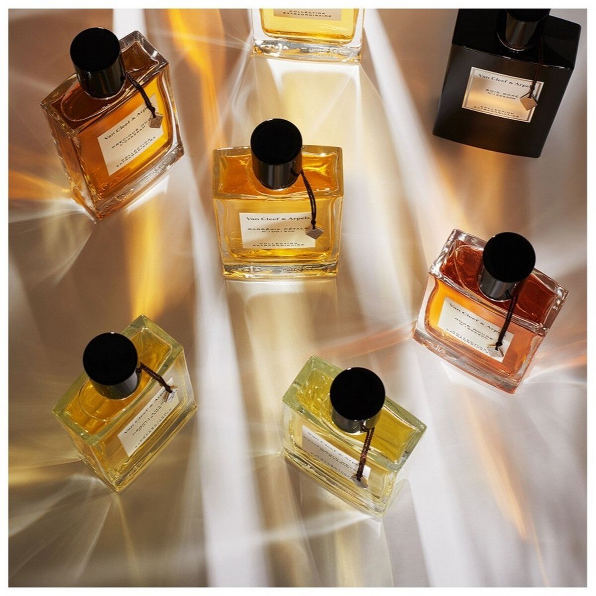 Collection Extraordinaire Bois D'Iris Eau de Parfum - 75 ml 4