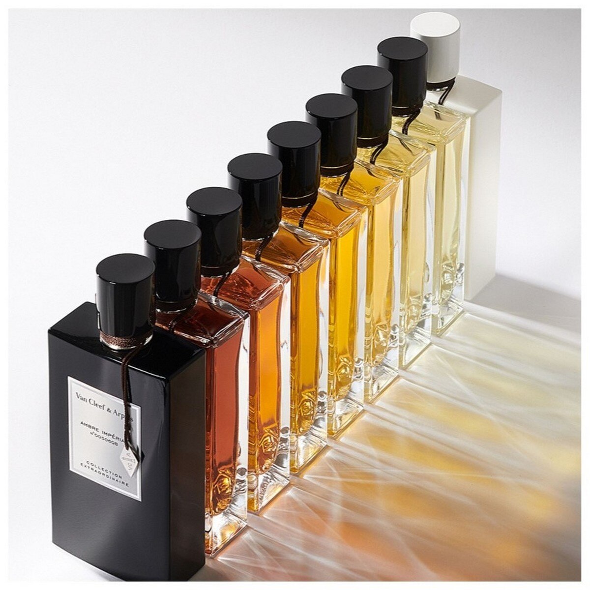 Collection Extraordinaire Bois D'Iris Eau de Parfum - 75 ml 5