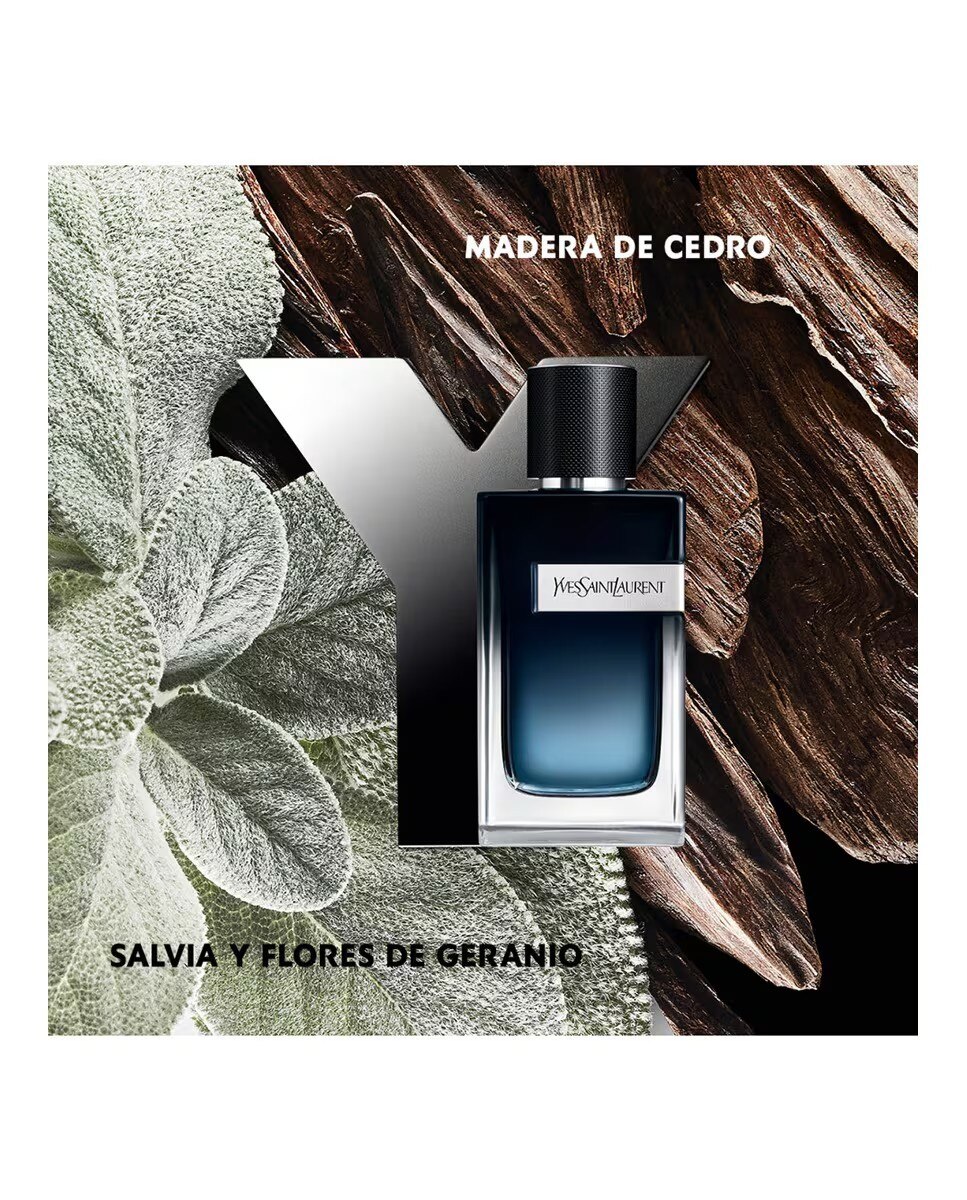 Recarga Y Eau de Parfum - 150 ml 3