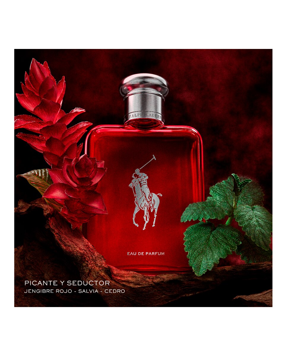 Polo Red Eau de Parfum 3