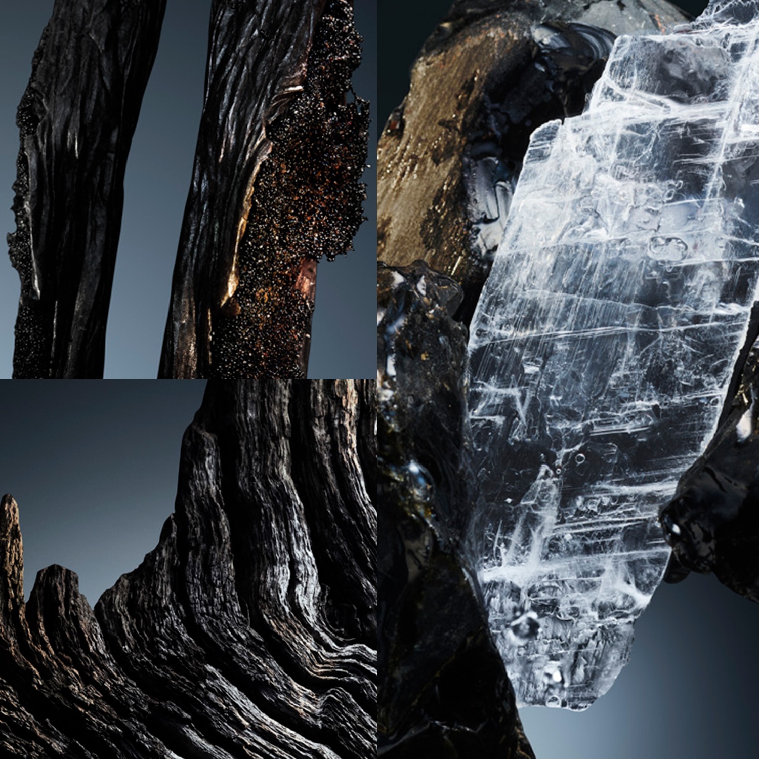 Recarga Phantom Elixir Eau Parfum Intense 3