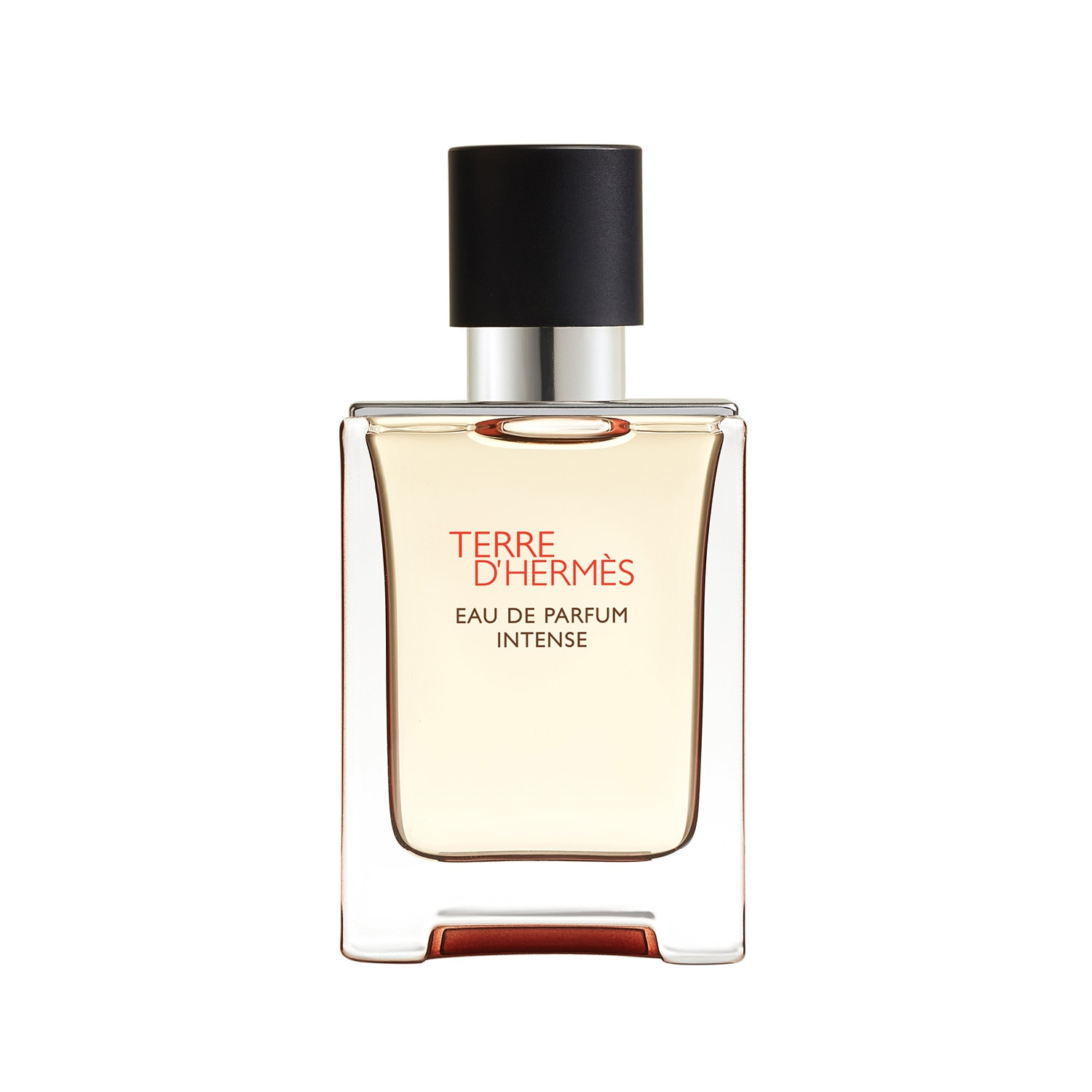 Imagem 0 de Terre d'Hermès Eau de Parfum Intense