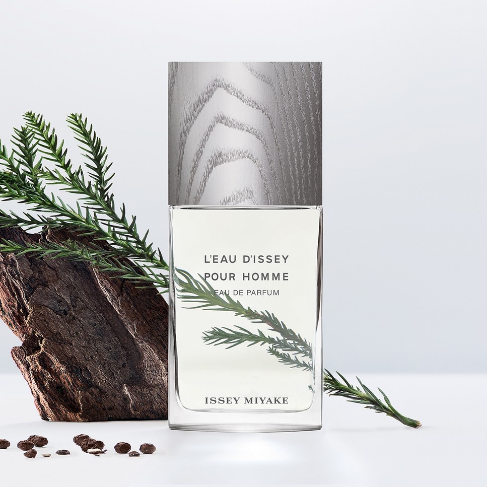 Recarga L'Eau d'Issey Pour Homme Eau de Parfum 3