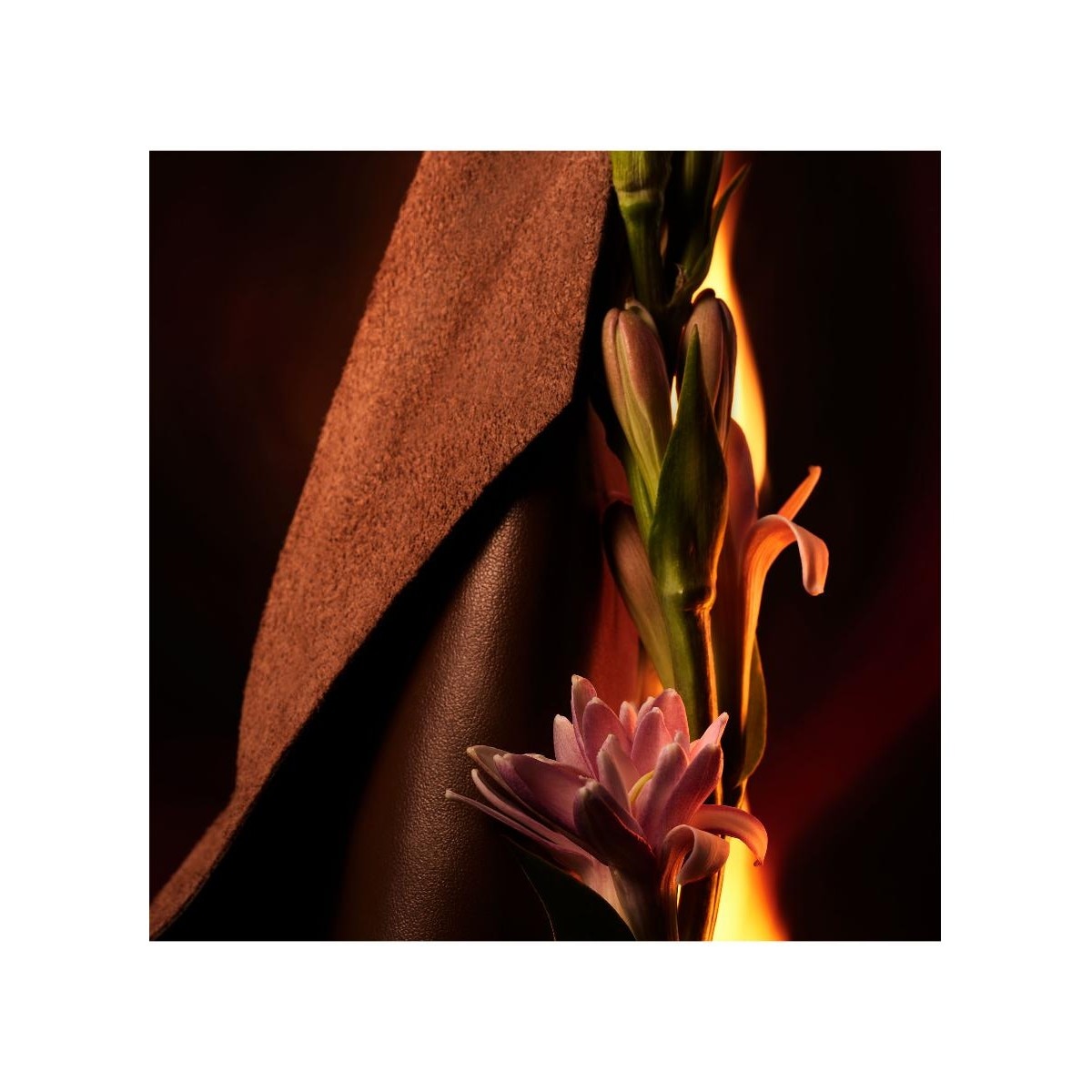 Man In Black Eau de Parfum 60ml 3