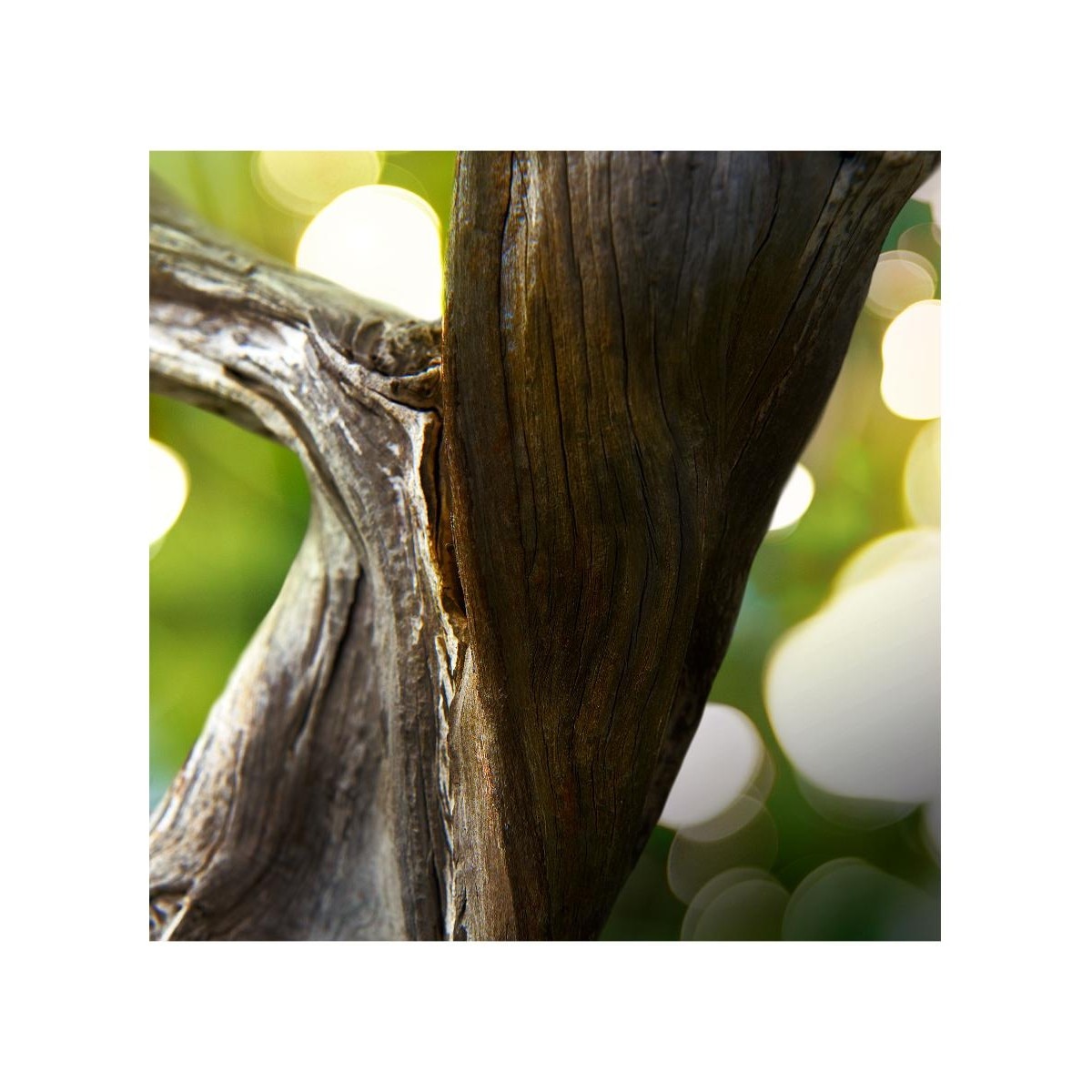 Man Wood Essence Eau de Parfum 60ml 3