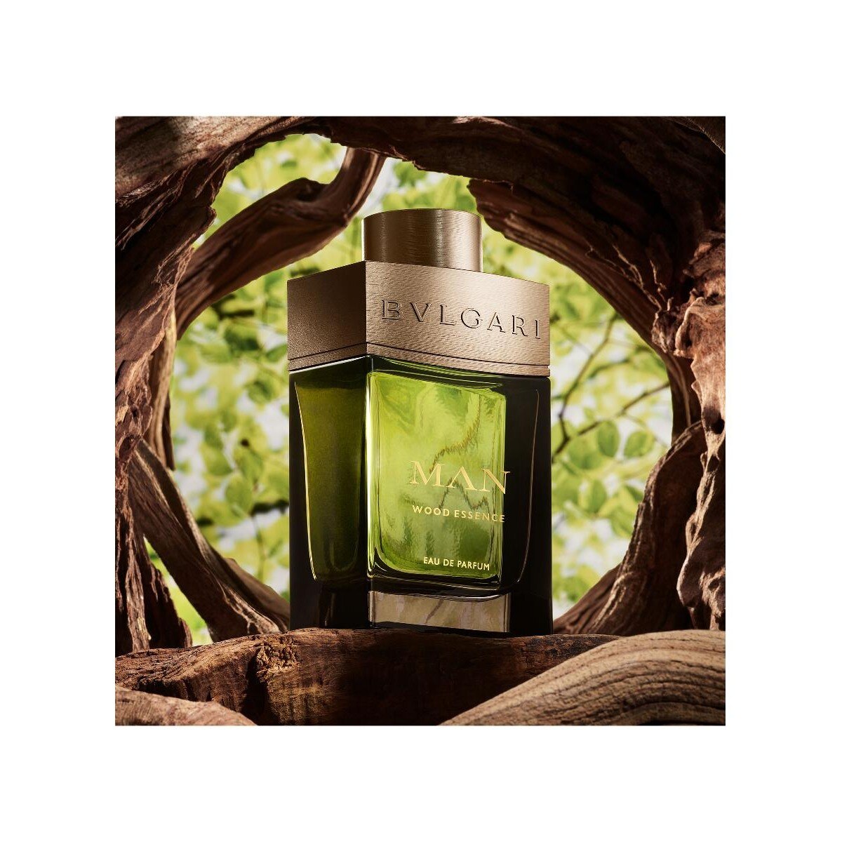 Man Wood Essence Eau de Parfum 100ml 4