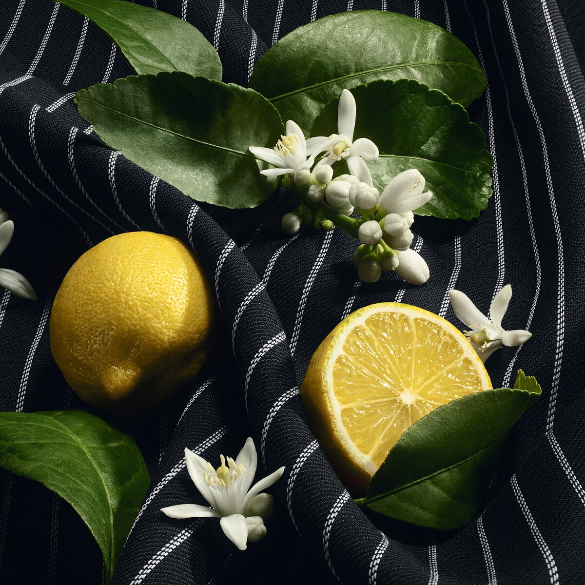 Re-Edition Eau De Parfum 4