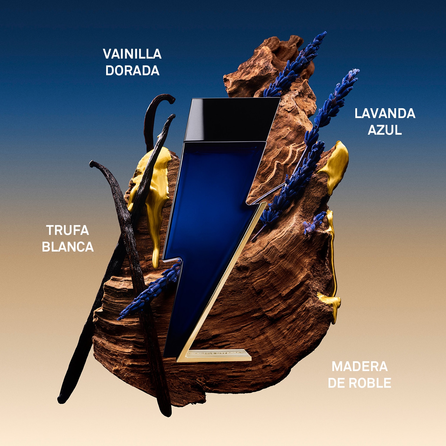 Bad Boy Cobalt Absolute Eau de Parfum 3