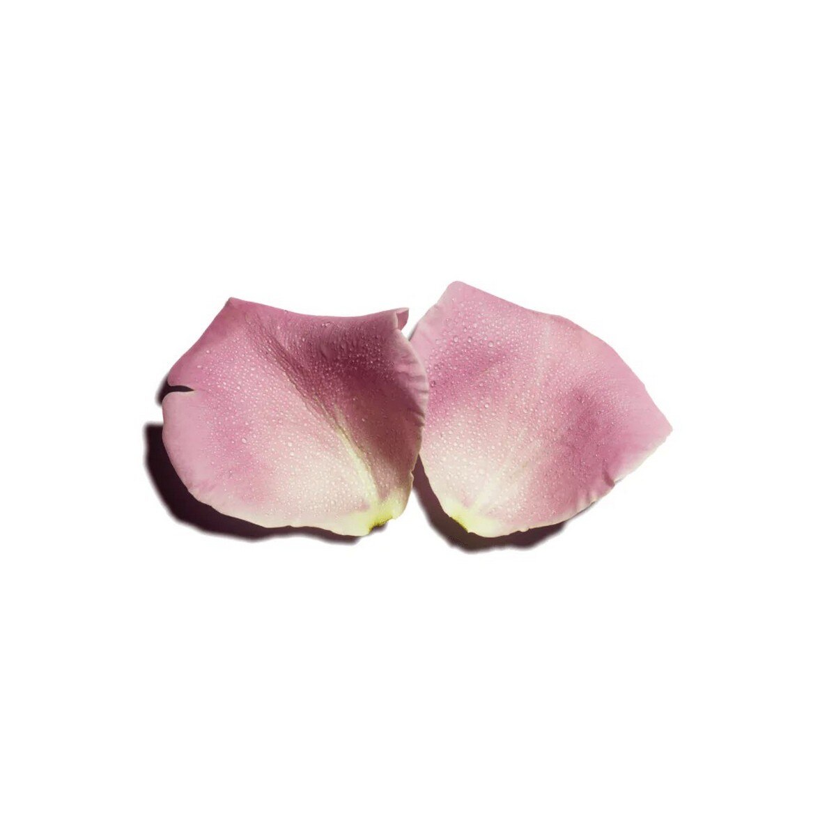 Leite Desmaquilhante Rosas - 300 ml 3